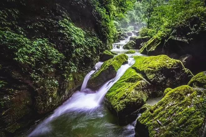 逃离宝藏岛屿
